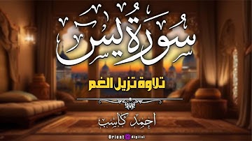 لما الشيخ أحمد كاسب يقرأ تحس إن الآيات بتطير حوالين روحك، وبتغسل همومك كلها 💖🌙