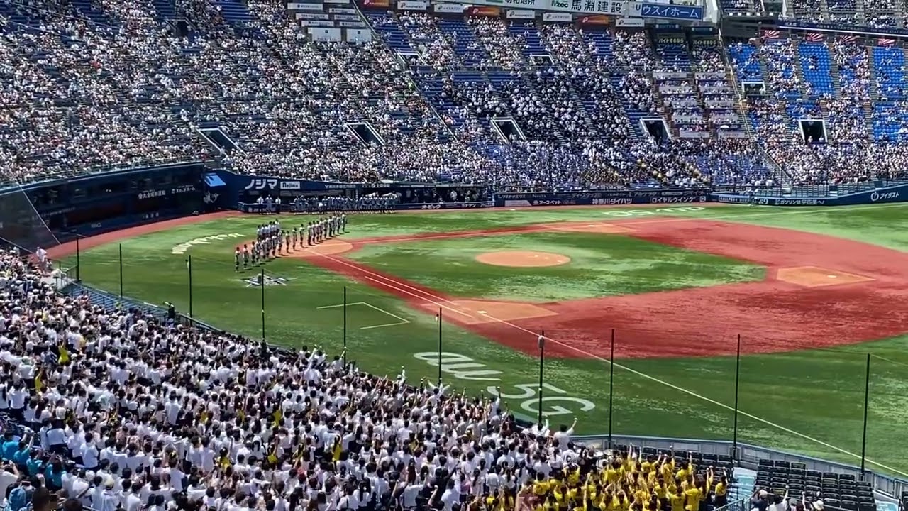 高校野球 横浜高校 選抜優勝校 応援扇子 校歌入り 一点のみ 新品