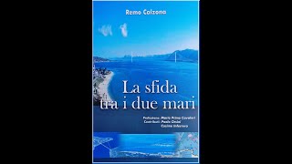Play video: Il prof. Remo Calzona illustra la proposta costruttiva del ponte sullo Stretto con pile in acqua
