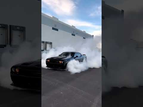 سيارة النينجا 