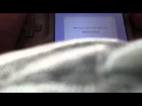 How to reset your nintendogs DS game