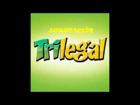 AGRUPACION TRILEGAL- QUE
