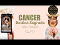 ❤️CANCER! TU VERDADERO DESTINO SE REVELA RAPIDAMENTE 🙌🏼💕💘 TAROT AMOR / DESTINO Y ANCESTROS