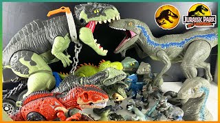 Khủng Long Giga Vs Khủng long Velociraptor Blue - Bộ sưu tập khủng long