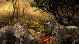 Wooly Rhinoceros vs Megaloceros | Prehistoric beast deathmatch battles S1 | SPORE
