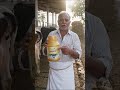 Jeevacal Gold | Boost Milk Production &amp; Animal Health | Best Calcium Supplement for Livestock 🐄