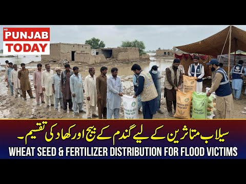 Relief for Flood-Hit Farmers in JPP | FDO Concern Distributes Wheat Seeds & Fertilizer