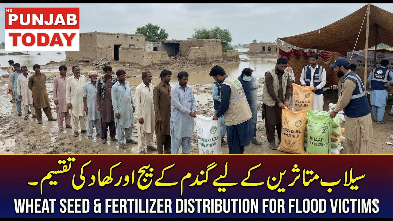 Relief for Flood-Hit Farmers in JPP | FDO Concern Distributes Wheat Seeds & Fertilizer