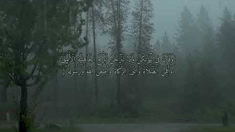 سورة الاحزاب اية ٣٣ عمر زيلينسكي