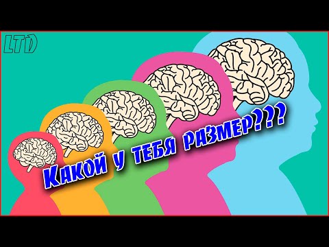 Насколько Ты Умный Очень Простой Тест, Который Не Пройдут Многие Взрослые