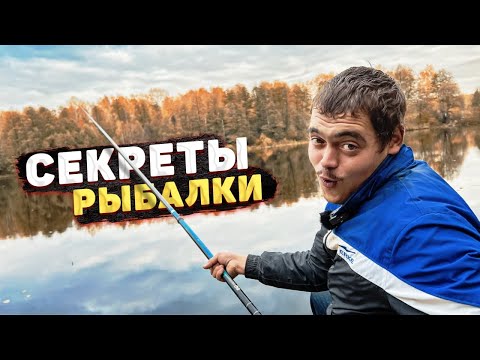 ДА СКОЛЬКО ЗДЕСЬ РЫБЫ В ЭТОЙ РЕКЕ?!! Рыбалка на удочку.