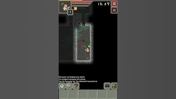 Remixed Dungeon 29.4: Dual Wield!