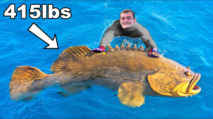 Can I Catch the Biggest Fish of My Life...