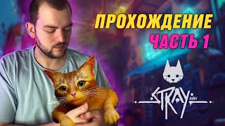 Прохождение часть 1| Stray | Самые милые кошки