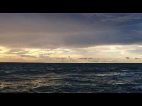 Jane - bbdhrggl