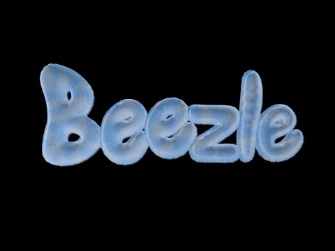 Mr Twin Sister - Beezle