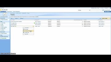 Sharepoint Tasks How to Add/Edit/Remove - Video 9