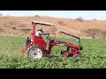 Hilling potatoes with tilmor tractor