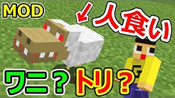 ぐっちの部屋 ミラクルぐっち Youtube