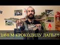 ЗАЧЕМ КРОКОДИЛУ ЛАПЫ?! Как тянуть крокодила за хвост?