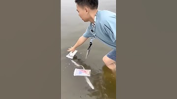 Mùa hè đi bơi, đi biển có túi đựng điện thoại chống nước này là hết ý