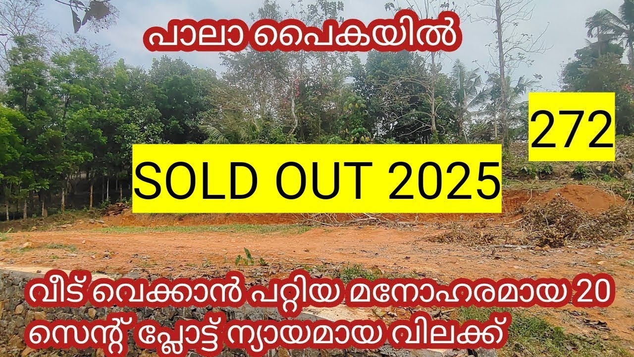 beautiful 20 cent plot for sale in pala paika landforsale plotsales 