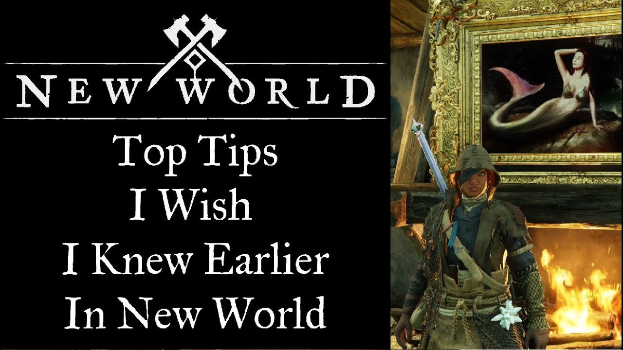 New World Beginners Guide ( I wish I knew from the start) YouTube