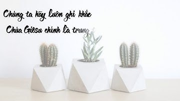 Sống lời Chúa thứ tư Tuần XIX Thường Niên C