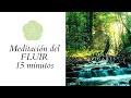 Meditación guiada para FLUIR | De las enseñanzas del Dr. Joe Dispenza (Funciona)