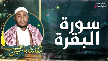 تلاوة تهبك لحظة صفاء لا تشبه أي لحظة أخرى.. سورة البقرة بصوت القارئ ياسين الطيب🎧😢