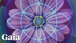 Introduction to Drunvalo Melchizedek and the Flower of Life