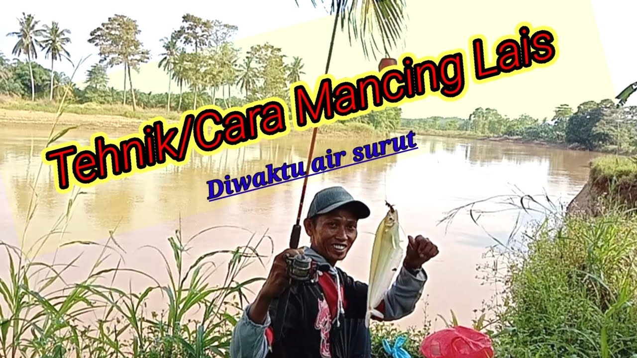 Tehnik/Cara Mancing ikan Lais