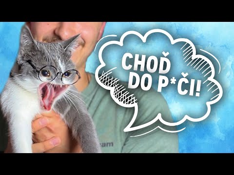 DIVNÉ VECI Z ČINY PRE MAČKY!