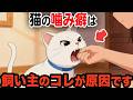 猫に噛み癖がつく飼い主のNG行動【猫雑学】