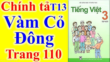 Tiếng Việt Lớp 3 Tuần 13 Chính Tả – Vàm Cỏ Đông – Trang 110