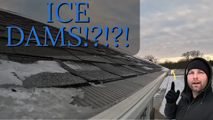 COSTCO Easy on Gutter Guards in the winter- Do they cause problems on the roof?