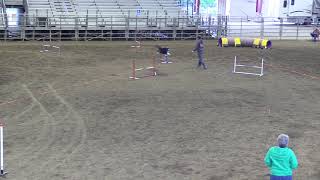 Shade Elite Chances R1 5 10 19