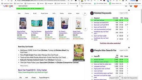Keyword Research with Keywords Everywhere Chrome Extension