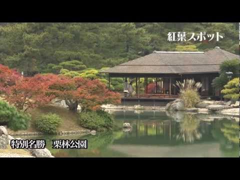 紅葉スポット 香川県 Youtube 紅葉スポット 香川県 Youtube