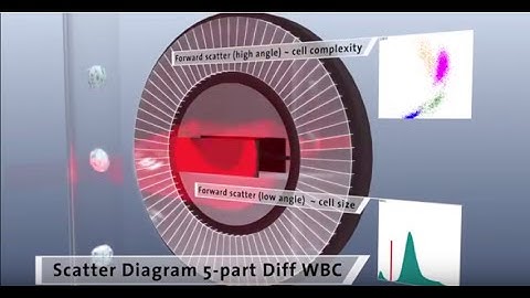 Mr. H. and HumaCount 5L - Automated Hematology Analyzer – Laser Technology