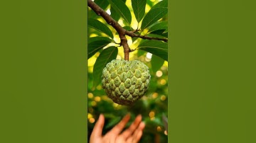 cutting fresh fruit 🍏Custard apple ai asmr satisfying #ai #asmr #aiart #satisfying #relaxing #shorts