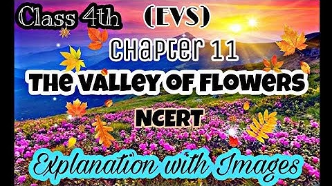 Class 4th EVS | Chapter 11 The Valley of Flowers |Part II |  NCERT | Explanation with images🤗