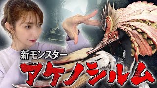 【モンハンライズ】ライズではハンマー使いになります！【アケノシルム討伐】#2
