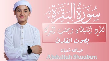 سورة البقرة كاملة تلاوة تريح القلب وتشرح الصدر _رقية للبيت وعلاج من السحر_بصوت القارئ علاء عقل