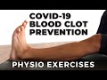 Covid-19 Blood CLOT PREVENTION EXERCISES I 3 PHYSIO Guided Home Exercises for Bed and Chair