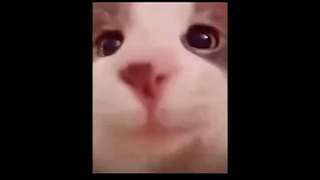 لكل شخص زعلان مني اكسبلور Shorts 