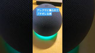アレクサに煽られてブチギレる男#shorts #おもしろ #short #アレクサ #shortsfeed #炎上動画 #バズった動画|今日は29度
