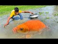 Best Hand Fishing Video | Amazing Village Boy Catching Fish By Hand In Pond