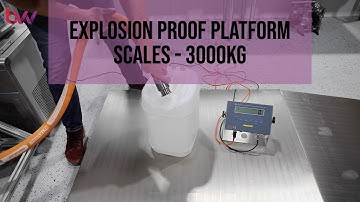 Explosion Proof Platform Scales - 3000KG