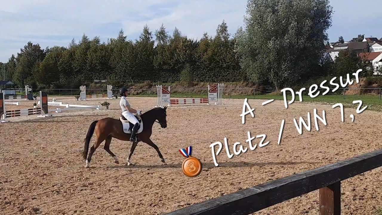 Dressurprüfung Klasse A* (A4) 🥉Platz🥉/WN 7,2/ 20.09.2025